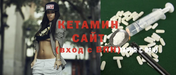 гидра Богородицк