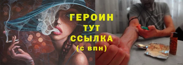 гидра Богородицк