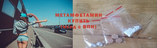 гидра Богородицк
