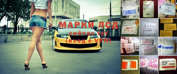 гидра Богородицк
