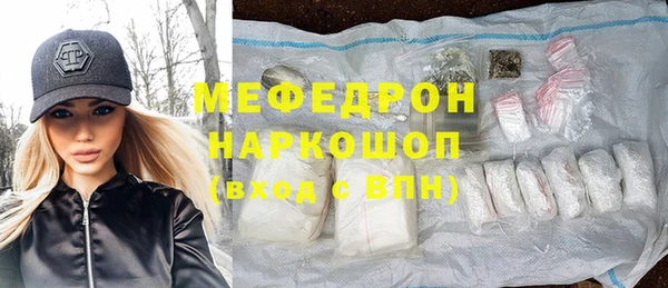 гидра Богородицк