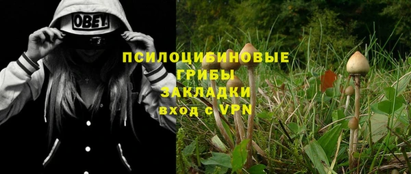 винт Богданович