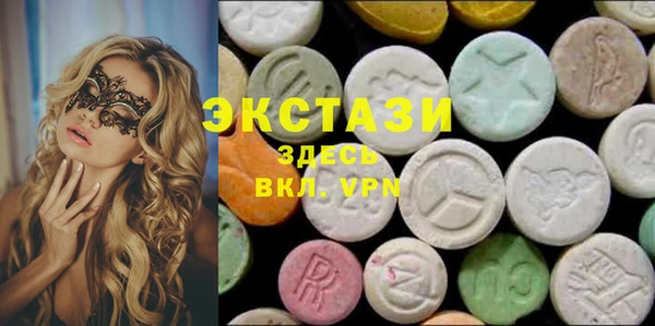 гидра Богородицк