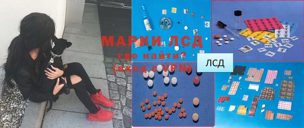 гидра Богородицк