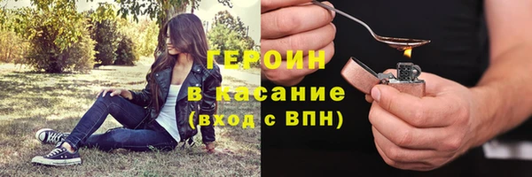 гидра Богородицк