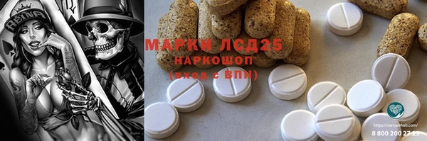 гидра Богородицк