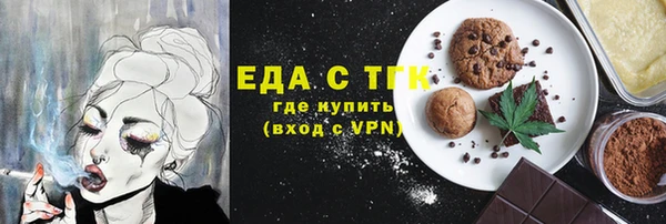 гидра Богородицк