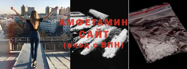 гидра Богородицк