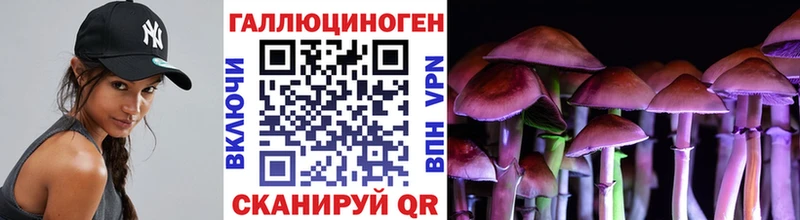 как найти наркотики  Ярославль  Псилоцибиновые грибы Psilocybine cubensis 